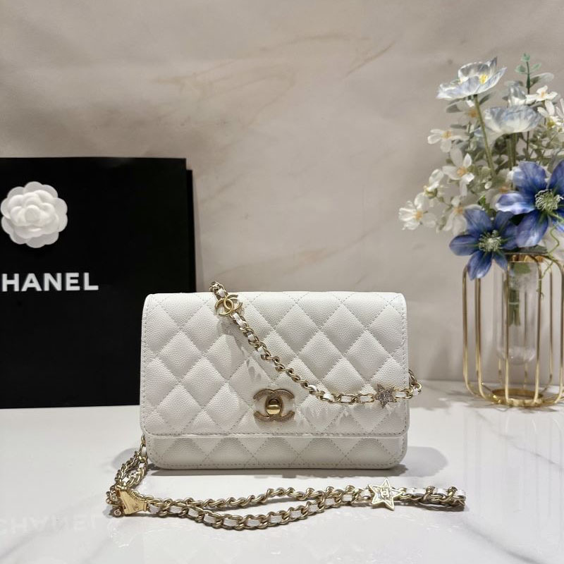 Chanel WOC Bags